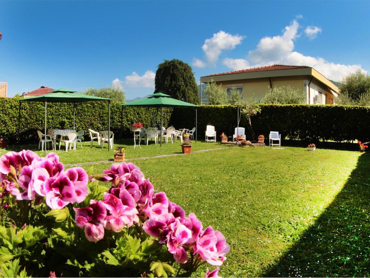 Villa Chiara Affitta Camere カッラーラ エクステリア 写真